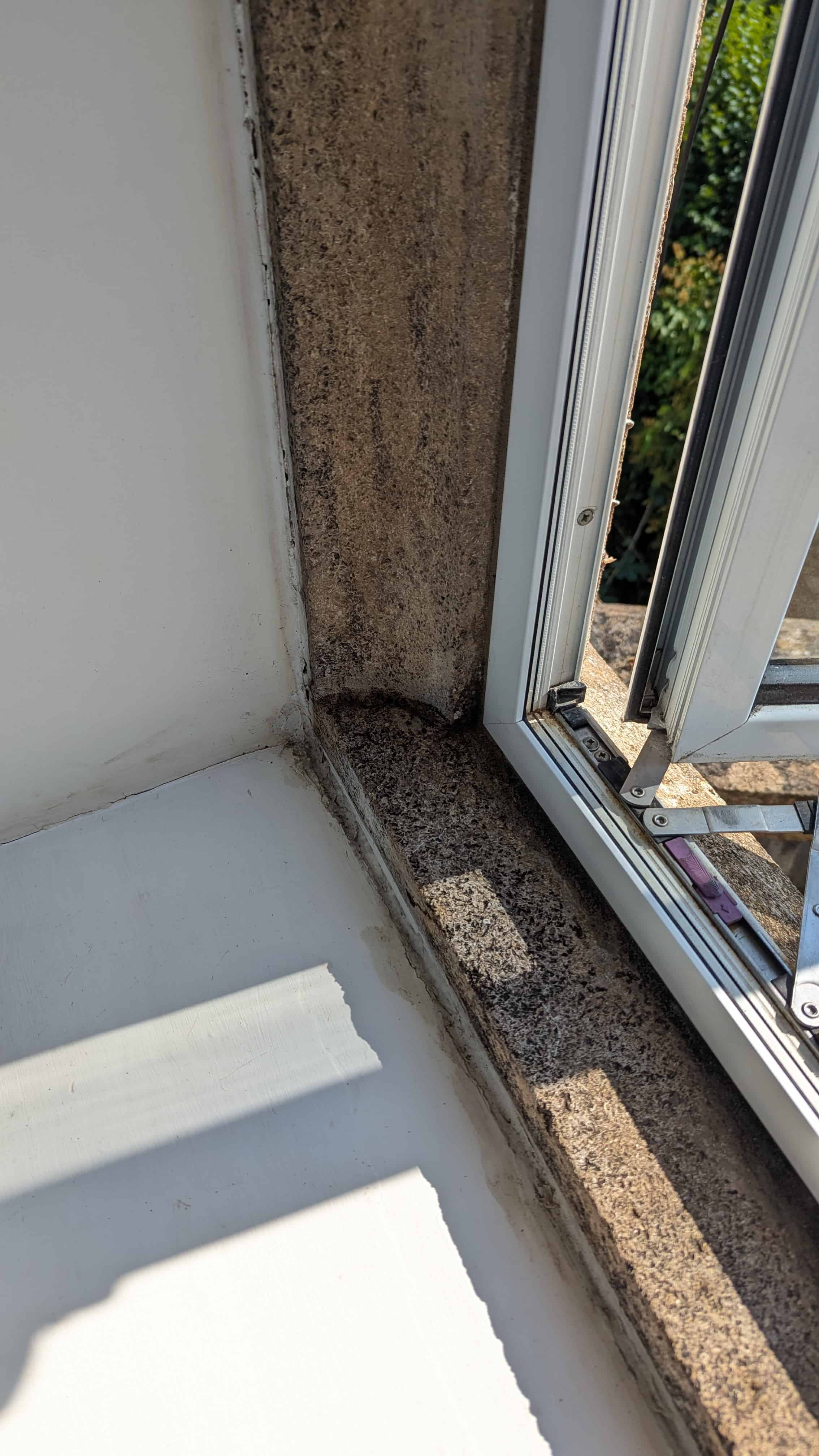 Black Mould before cleaning